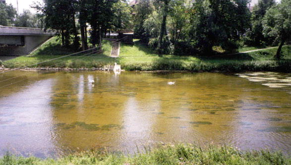 The Donau at Sigmaringen