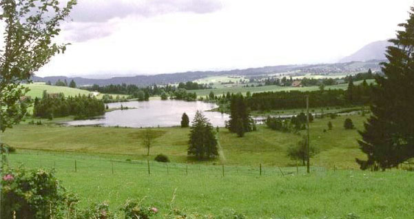 The Donau near Donauworth