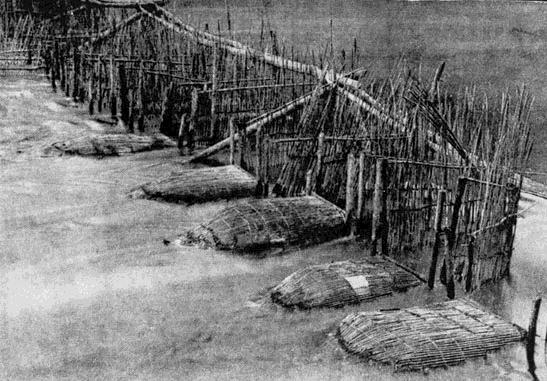 fishtraps.jpg