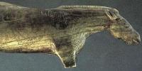 Cave paintings and sculptures