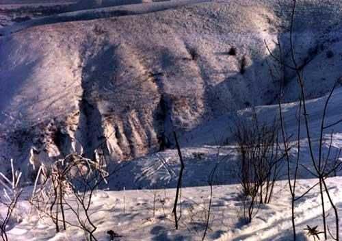 kostenki panorama in winter