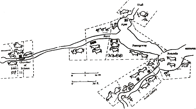 Plan of the Lascaux cave in France