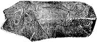 mammoth engraving