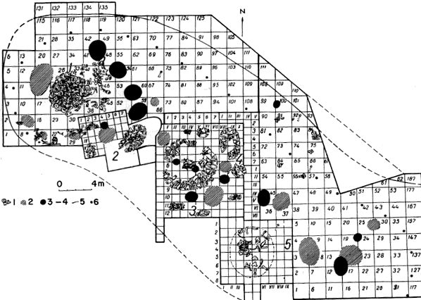 Mizyn Cross Section