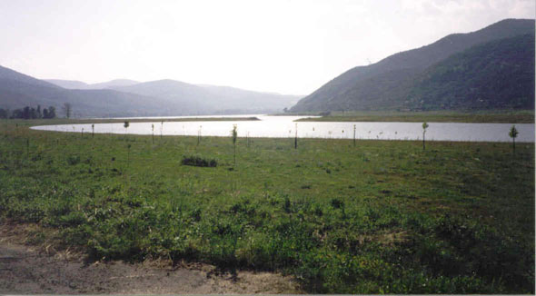 The Danube North and West of Budapest, Looking West. 