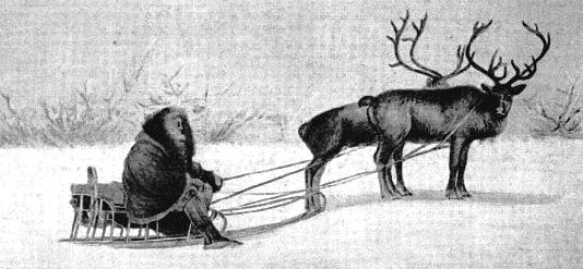 reindeersledge.jpg