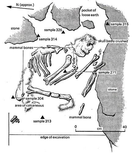 Iza's skeleton