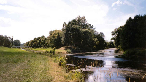 The Source of the Donau River