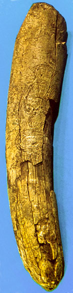 Predmost engraved tusk