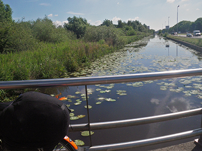 IMGP5076canalandwaterlilliessm