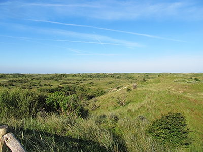 IMG_2304_0817amduneslookoutsm