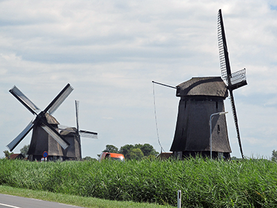 IMG_2309windmills1350pmsm