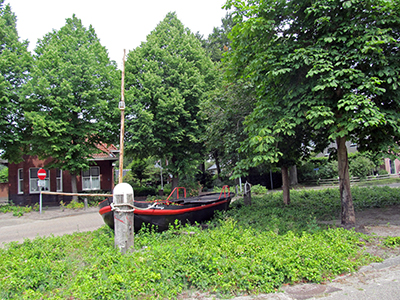 IMG_2363_1247hboatflowerpotsm
