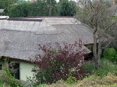 img_0060_1333thatchedroofsm