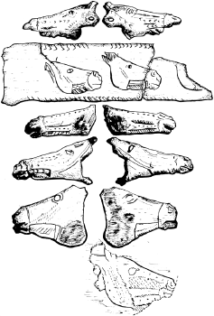 Grotte du Mas d'Azil