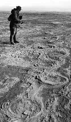 mammoth
tracks