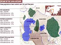 saiga map