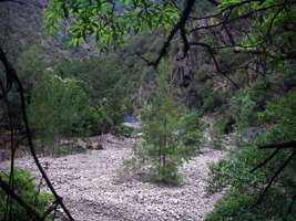 Chandler Gorge