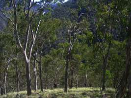 Chandler Gorge