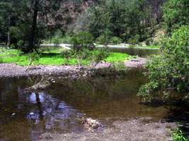 Chandler Gorge