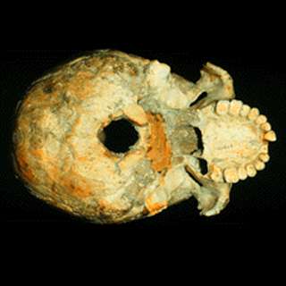 Liujiang skull