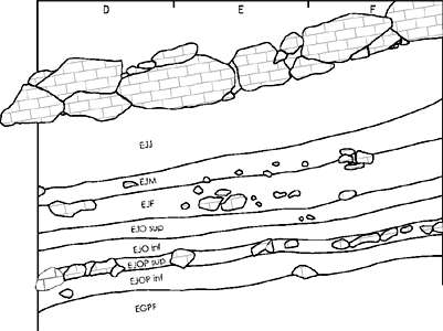 Saint Césaire stratigraphy