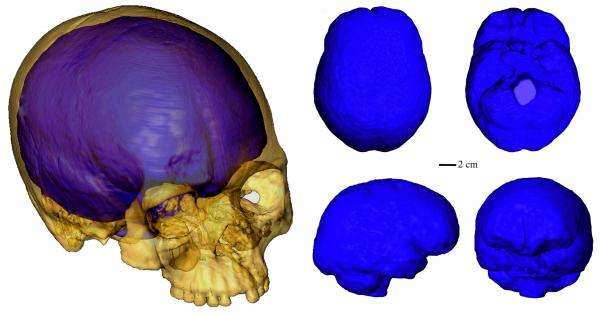 three d tomography liujiang