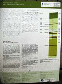 Soil Profile