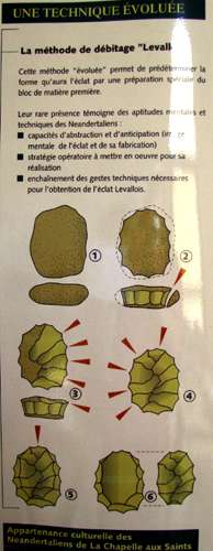 Levallois Points