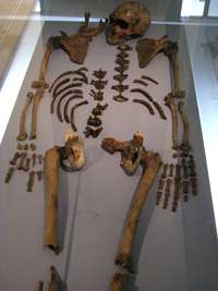 La Ferrassie skeleton