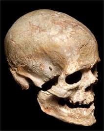 Cro-Magnon skull