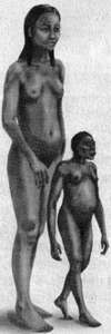 Homo floresiensis