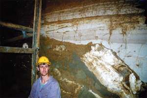 white tuffaceous silts