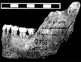 La Quina 9 mandible