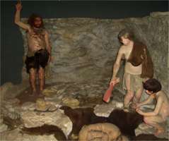 neandertal