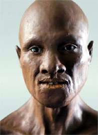 oase head