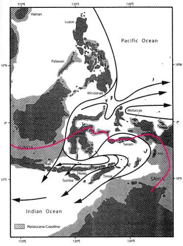 sea currents map