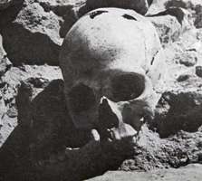 abri pataud human skull