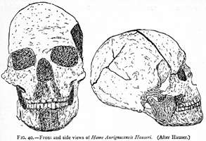 combe capelle skull
