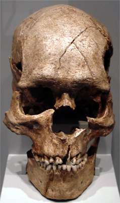 Combe-Capelle skull