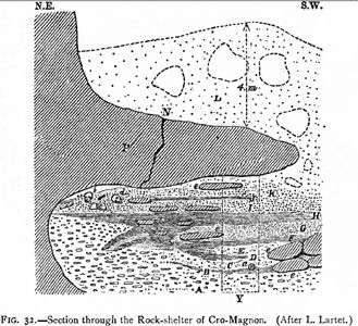 Cro-Magnon cross section