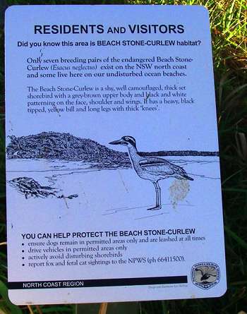 Beach Stone Curlew sign at Diggers Camp