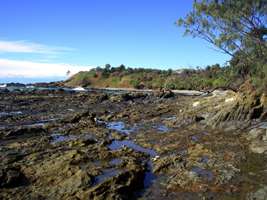 Rock Platform at Diggers Camp Beach