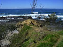 One Tree Point at Minnie Water