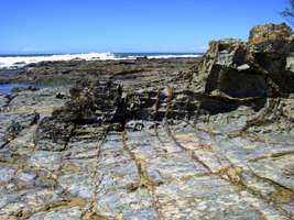 One Tree Point at Minnie Water