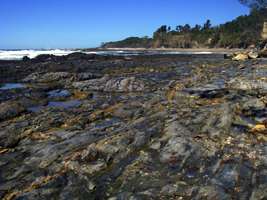 One Tree Point at Minnie Water