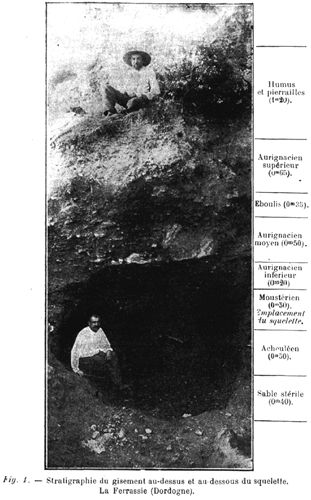 La Ferrassie stratigraphy