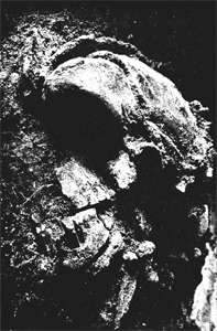 La Quina skull