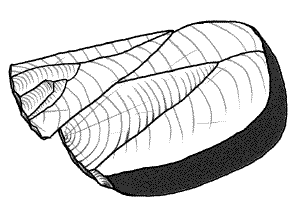 Levallois point making animation