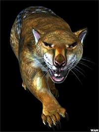 Marsupial Lion